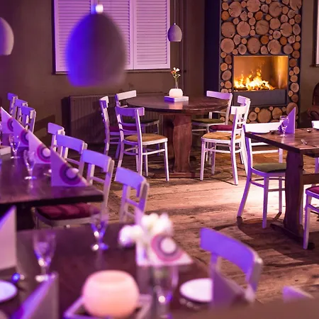 فندق Altstadthotel Arte 4*