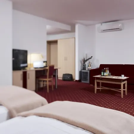 Altstadthotel Arte 4*